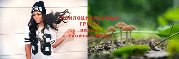 тгк Вязьма