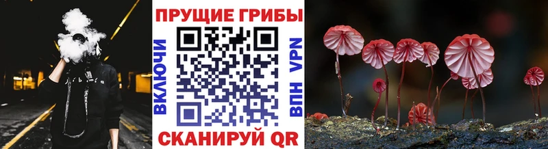 Псилоцибиновые грибы мицелий  ОМГ ОМГ ТОР  Чита 