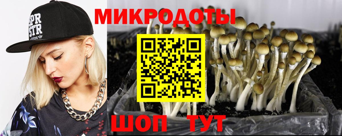 Псилоцибиновые грибы MAGIC MUSHROOMS Чита