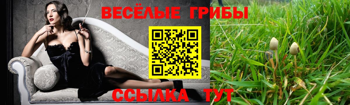 Псилоцибиновые грибы Psilocybine cubensis  Псилоцибиновые грибы ЛСД  Вход с VPN  купить наркотики цена  Чита 